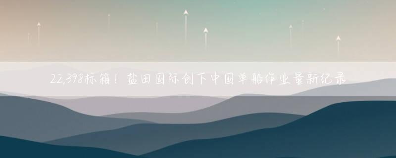 22,398标箱！盐田国际创下中国单船作业量新纪录