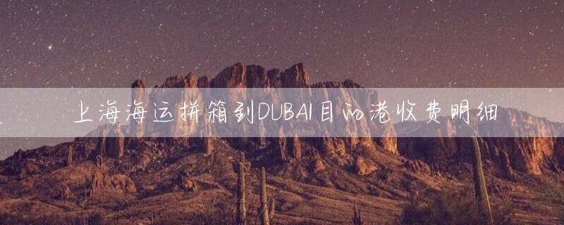 上海海运拼箱到DUBAI目的港收费明细